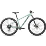 ROWER SPECIALIZED ROCKHOPPER COMP M GLOSS GREEN