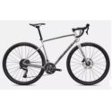 ROWER SPECIALIZED ROCKHOPPER DIVERGE E5 61 GLOSS D