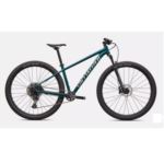 ROWER SPECIALIZED ROCKHOPPER EXPERT M 29" GLOSS EM