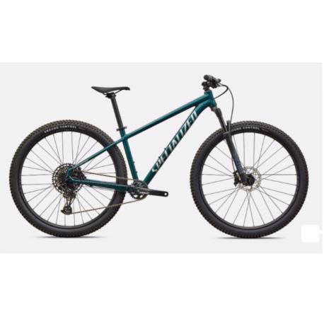 ROWER SPECIALIZED ROCKHOPPER EXPERT M 29" GLOSS EM