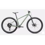 ROWER SPECIALIZED ROCKHOPPER COMP M 29 GLOSS PISTA